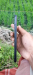 Realme C53